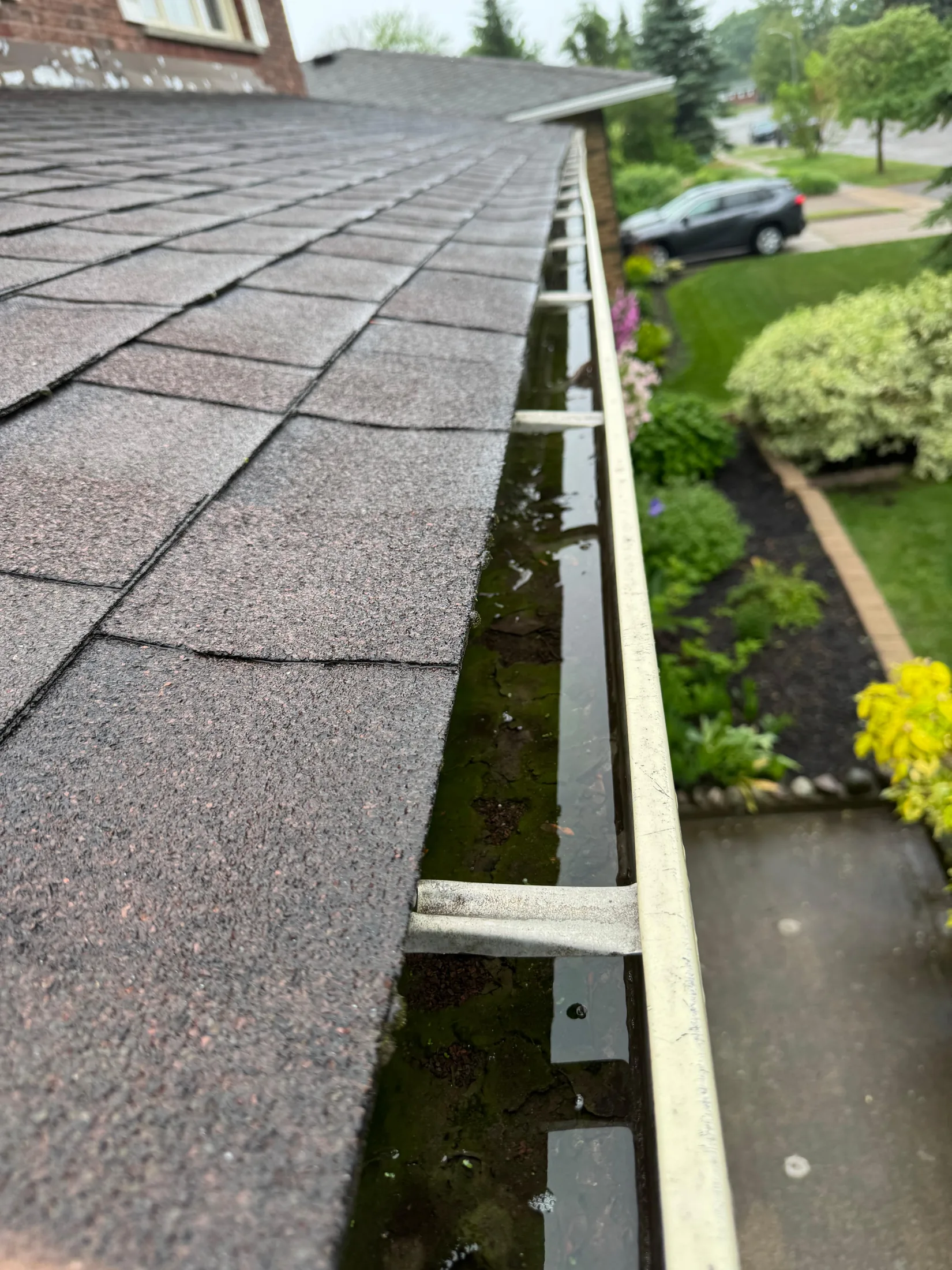 Gutter Cleaning — before