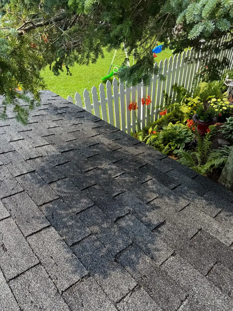 Roof Washing