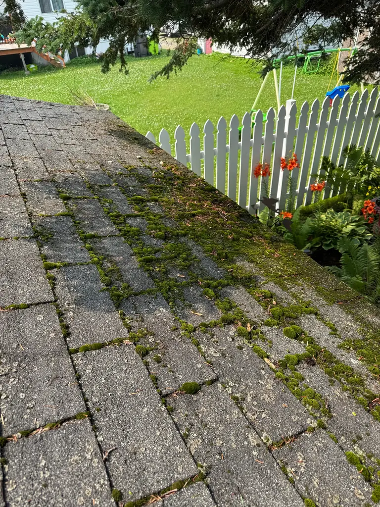 Roof Washing — before